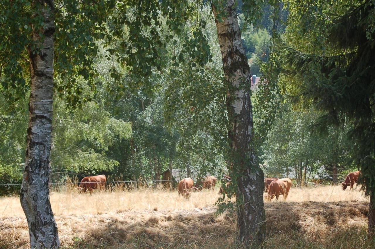 Behagliches Ferienhaus Zaunkoenig -Mit Kamin Und Sauna Tanne Luaran gambar