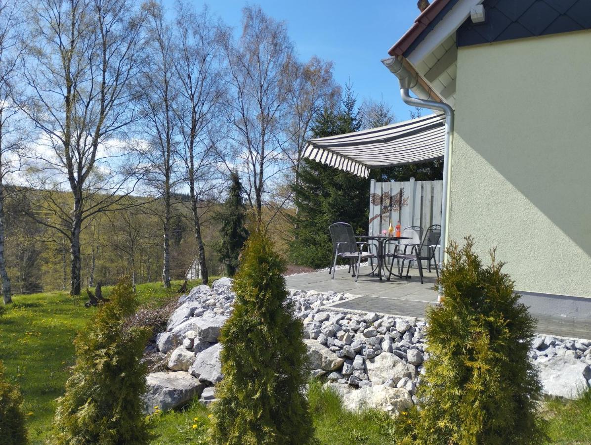 Behagliches Ferienhaus Zaunkoenig -Mit Kamin Und Sauna Tanne Luaran gambar